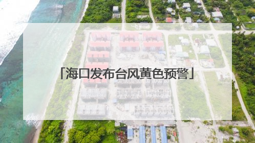 海口发布台风黄色预警